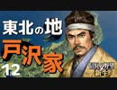 弱小大名（戸沢家）で天下を目指す【信長の野望・新生（戸沢家・上級）】（Part12）