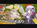 釣った魚は最後まで　＃１２３　アイゴのお造り【VOICEROIDキッチン】