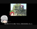 ゆっくり農民198クリを育ててみませんか？#3
