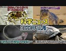 【科学ニュース】実は鳴き声がある生き物たち／アザラシのリズム感／トカゲにヒアリを食べさせると…／機械のような仕掛けを持つ単細胞生物【ゆっくり解説】