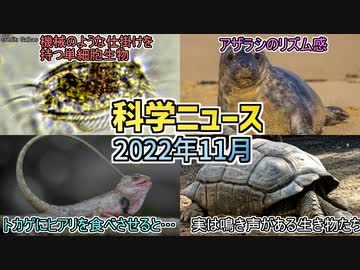 【科学ニュース】実は鳴き声がある生き物たち／アザラシのリズム感／トカゲにヒアリを食べさせると…／機械のような仕掛けを持つ単細胞生物【ゆっくり解説】