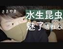囁き雑談｜水生昆虫を探し回った小学時代の話｜Okano ASMR