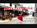 【山口県柳井市】金魚ちょうちんと踊ったよ【オリジナル振付】
