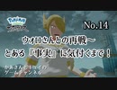 ポケモンをほとんど知らないかあさん(５３)がアルセウスやってみた No.１４【ポケモンレジェンズアルセウス】