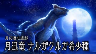 【結月凛 実況】騎士と共に猛る焔　32 【Monster Hunter Rise: Sunbreak】