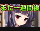 【紳士向け】#157　やっと禁欲生活終わったのに妹があたおか過ぎて非難轟々【妹ぱらだいす！】