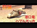 【実況】ぼっちハンターが行く！モンスターハンターXX 第14回