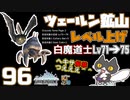 轟くFF11＿復帰プレイ96　ツェールン鉱山でレベル上げ 白71→75