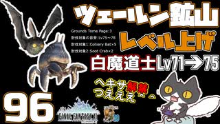 轟くFF11＿復帰プレイ96　ツェールン鉱山でレベル上げ 白71→75
