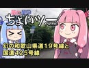 茜と葵のちょいツーPicnic 幻の和歌山県道19号線と国道425号線