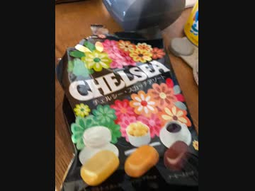 また嫁のチェルシーを食べてしまった。