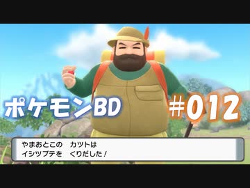 【ポケモンBD】りかけいのおとこ、シンオウ地方を往く【毒タイプ縛り・初プレイ】 実況プレイ part12
