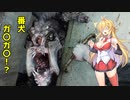 【METRO2033_Redux】地下暮らしのツルマキマキ【VOICEROID実況プレイ】8日目