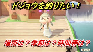 あつまれどうぶつの森　ドジョウを釣る方法！場所は？季節は？時間帯は？　魚図鑑コンプへの道！釣り攻略。　最新版【あつ森】