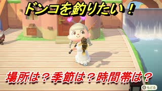 あつまれどうぶつの森　ドンコを釣る方法！場所は？季節は？時間帯は？　魚図鑑コンプへの道！釣り攻略。　最新版【あつ森】