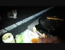 秋のBBQ配信