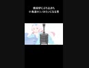 焼却炉にぶち込まれ小鳥遊ホシノみたいになる男