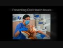 Emergency Dentist