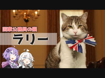 第二十一.五回【国家公務員の猫 ラリー】番外