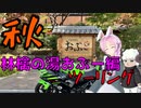 【ninja400の旅】秋ツーリングなのじゃ！松本おぶー編【VOICEROID車載】