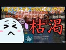 いくらあっても足りないフォトンクォーツが