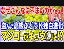 なぜこんなに不味いのかぁぁ！日本から盗んだシャインマスカットがK国独自進化を遂げる！マンゴーがキュウ○に転生！？【2022/11/11】