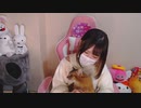 【みーたん】ちょこっと。2022年11月6日