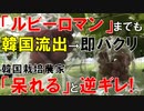 20221111_韓国_ニュース_ゆっくり解説