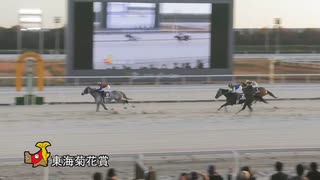 第63回東海菊花賞 コバルトウィング