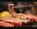 食べ過ぎて苦しくなった悲しみを分かち合う歌 feat.AIきりたん