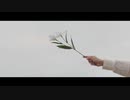 まっしゅん「ゴールドバンデッド・リリー」Music Video