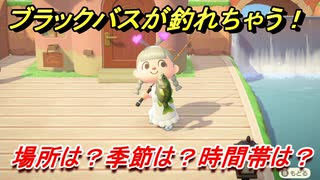 あつまれどうぶつの森　ブラックバスを釣る方法！場所は？季節は？時間帯は？　魚図鑑コンプへの道！釣り攻略。　最新版【あつ森】