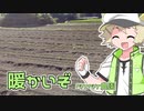 2022年11月11日　農作業日誌P445　山崎蒸留所といつもの出荷作業　VOICEVOX