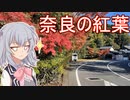 りっかのプチ旅行「紅葉の奈良でポタリング！」【小春六花】