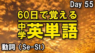 中学英単語を60日で覚えよう Day 55 【動詞（Se-St）】 - リスニングで覚える英単語