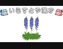 いらすとや漫才「ブルーボネットのイラスト」