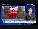 ドイツ政府、中国によるドイツのチップ工場買収を拒否