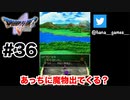 奥が丸見えの構造【DQ5/iPad】#36