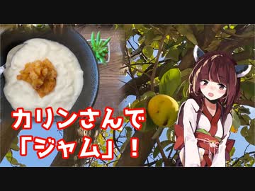 【思い切って野草を食べてみよう】#92 カリンさんで「ジャム」！