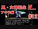 【ゆっくり実況】 真・女神転生 if... アキラ編 #12（SFC版）