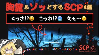 胸糞&amp;ゾッとする海外のSCP4選【ゆっくり解説】