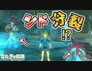 シドを増やしてみた【ブレワイ BotW】裏技 バグ 検証 ゆっくり実況 glitch
