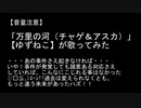 【万里の河（チャゲ＆アスカ）】歌ってみた。