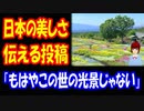 【海外の反応】 日本の 美しさを 伝える 超人気サイト UNILADの投稿に 外国人 衝撃 「美しすぎる」 「日本は世界で最も美しい国」