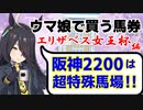 【シリーズ回収率105%】エリザベス女王杯編　でかくて○○な馬を買え！【ウマ娘で買う馬券】