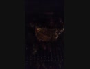 暗闇の中炭で肉を焼いているだけ