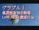 【グランブルーファンタジー Part425】風属性有利古戦場！Lv90 HELL編成 Vlog！