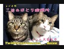 【散歩枠】RADWIMPSの顔はファーストベースまでが遠い放送【雑談】