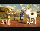 はじめてのライドポケモンー疾走ー ☆ 【Pokémon LEGENDS アルセウス実況】 #13