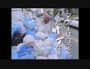 AC マナーは守ってくだサイな 0.5倍にしたらこうなる